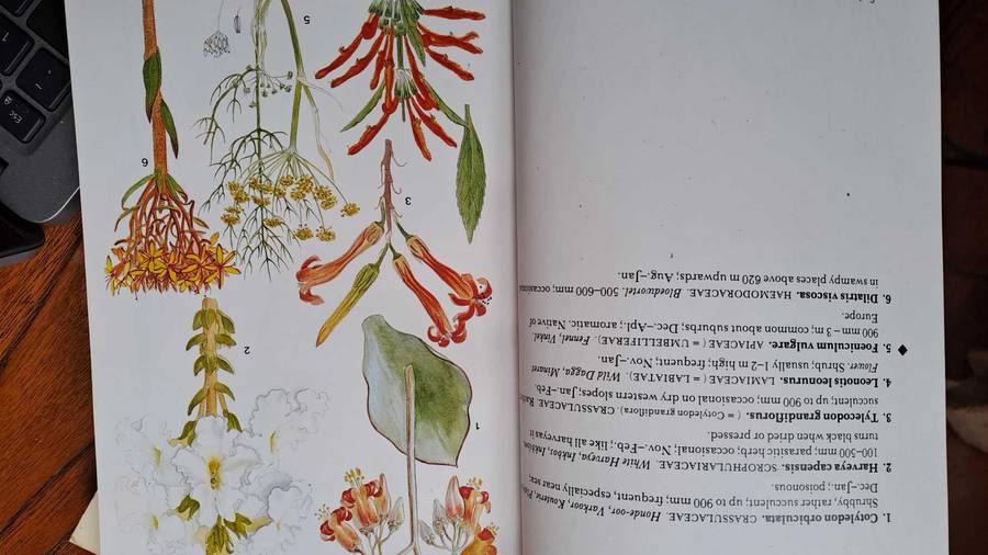 South African Wild Flower Guide - Mary Maytham Kidd - 1983 edition