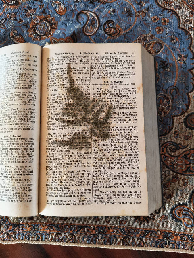 Antique German WWII Bible (Wedding Bible, 1939)  Preußische Hauptbibelgesellschaft, Berlin