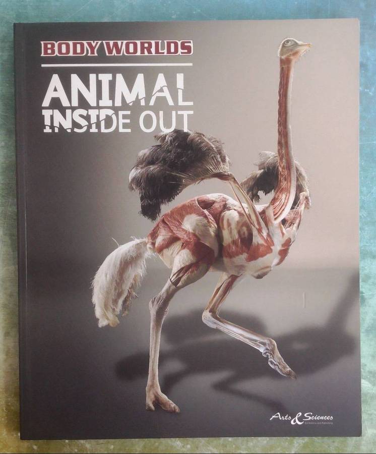 Body Worlds - Animals Inside Out