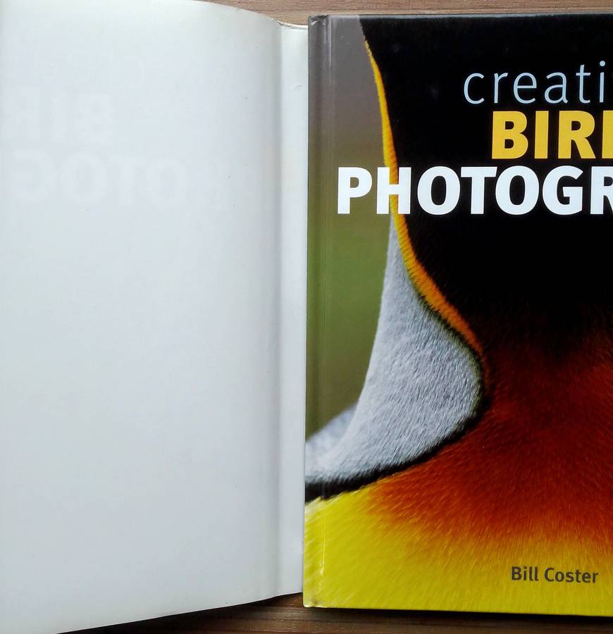 Creative Bird Photography by Bill Coster