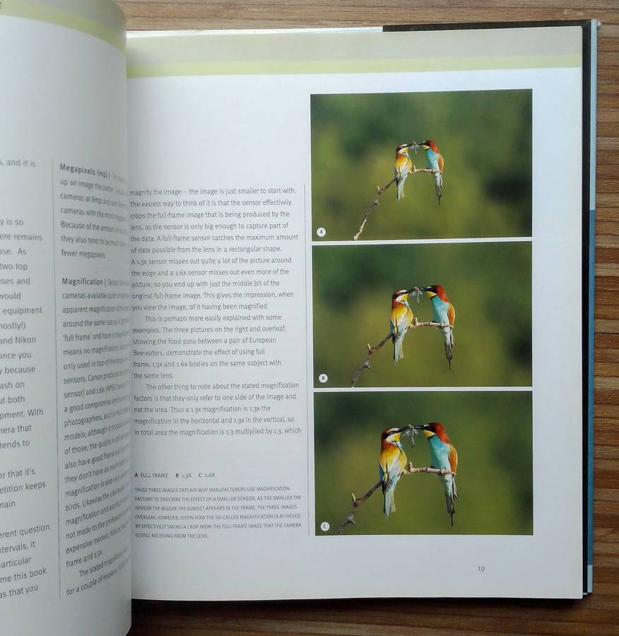 Creative Bird Photography by Bill Coster