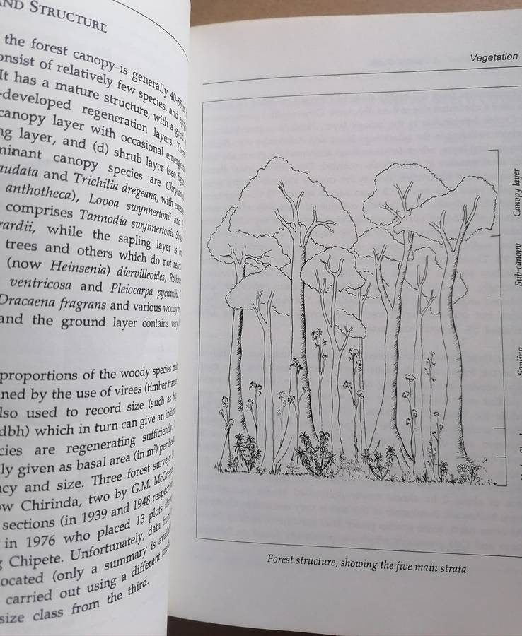Chirinda Forest - A Visitor's Guide edited by Jonathan Timberlake and Phil Shaw