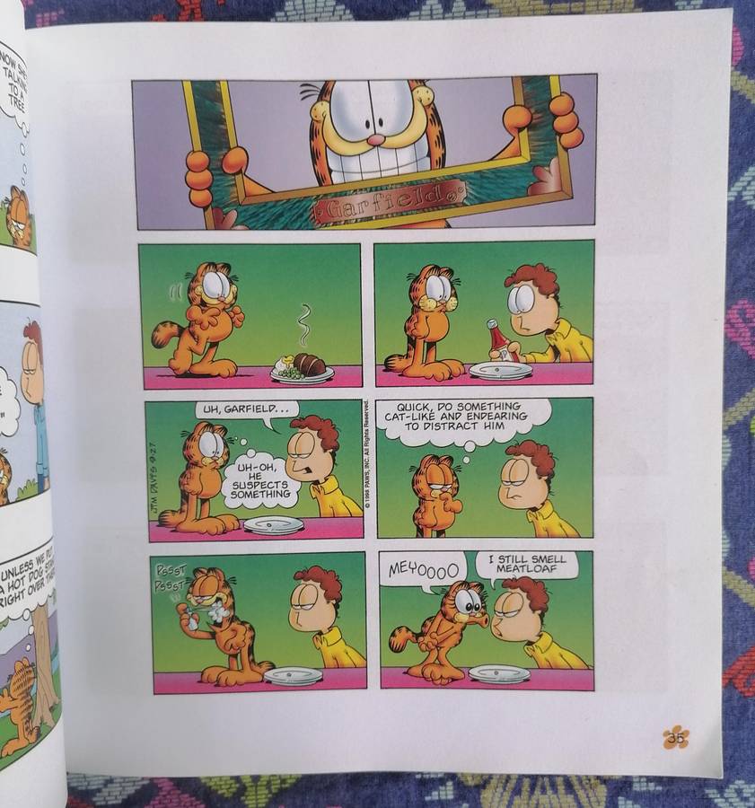 Garfield Feeds the Kitty by Jim Davis (His 35th Book)