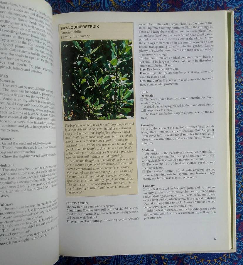 A - Z of Herbs by Margaret Roberts