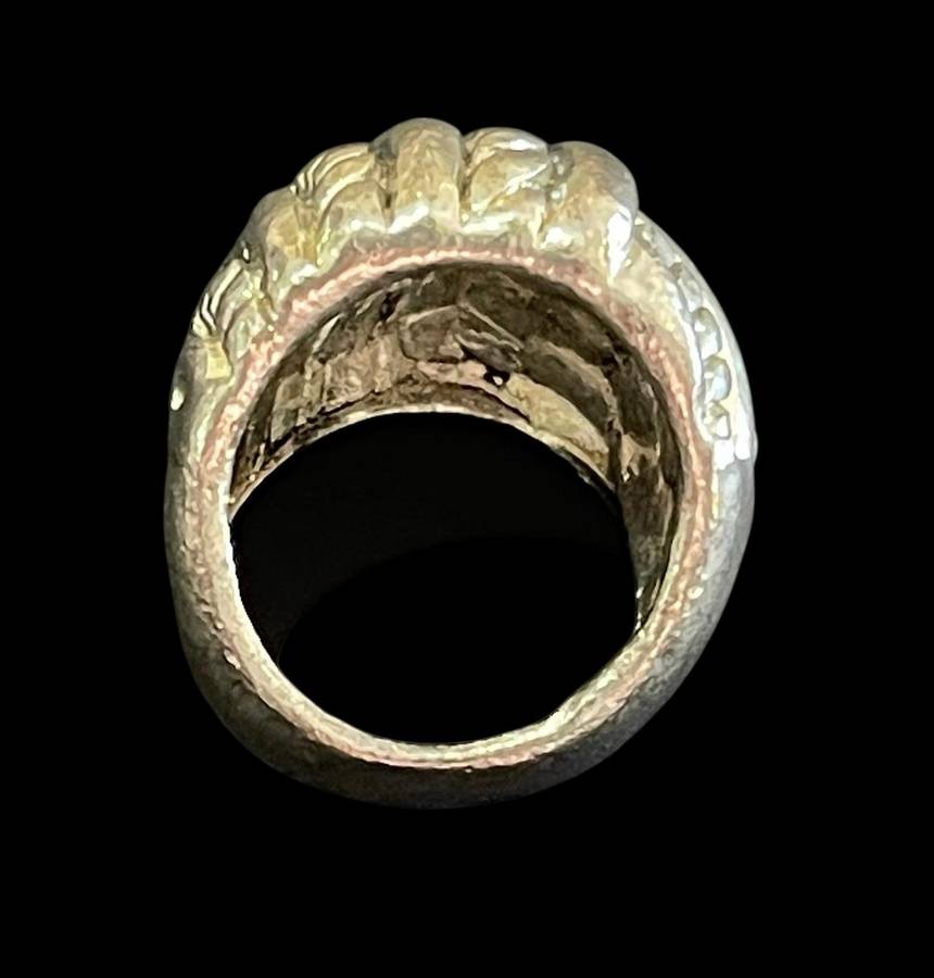 Ring metal costume