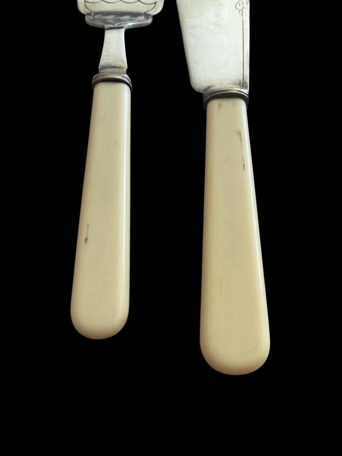 Cutlery serving set bone handled(NR1)