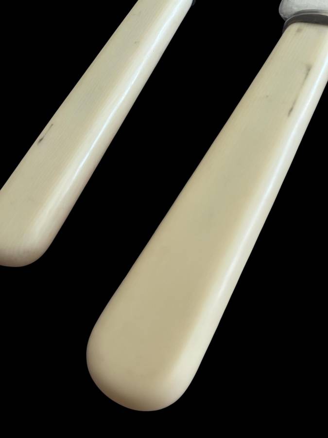 Cutlery serving set bone handled(NR1)