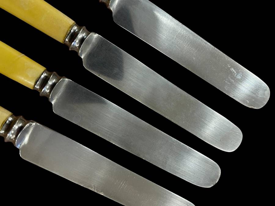 Knives bone handled(NR33)