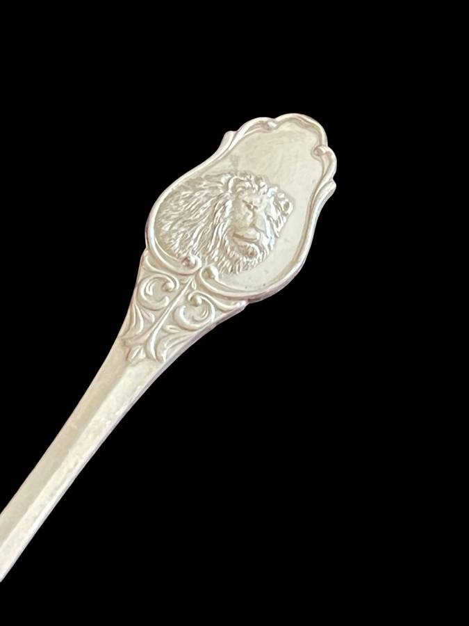 Teaspoon Kruger Park(NR7)