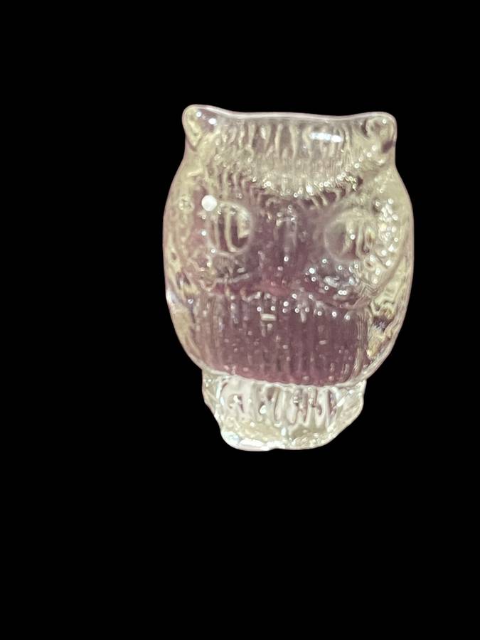 Ornament owl glass