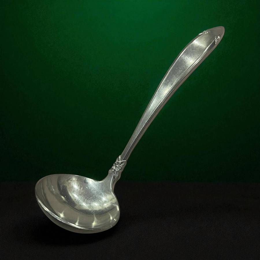 Gravy ladle Eetrite Elite(NR48)