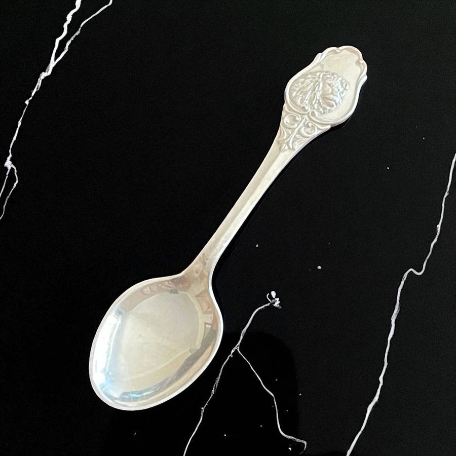 Teaspoon Kruger Park(NR7)