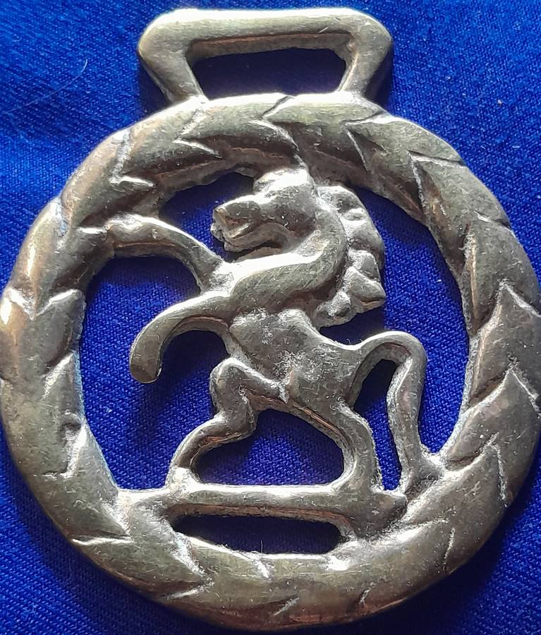 Vintage Single Horse Brasses - Set of Two