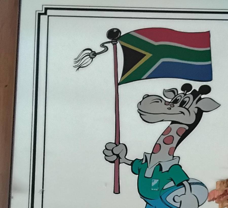 Framed Bar Mirror Commemorating the 1995 Rugby World Cup