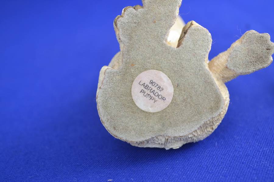 Assorted Selection of Four Small Dog Ornaments