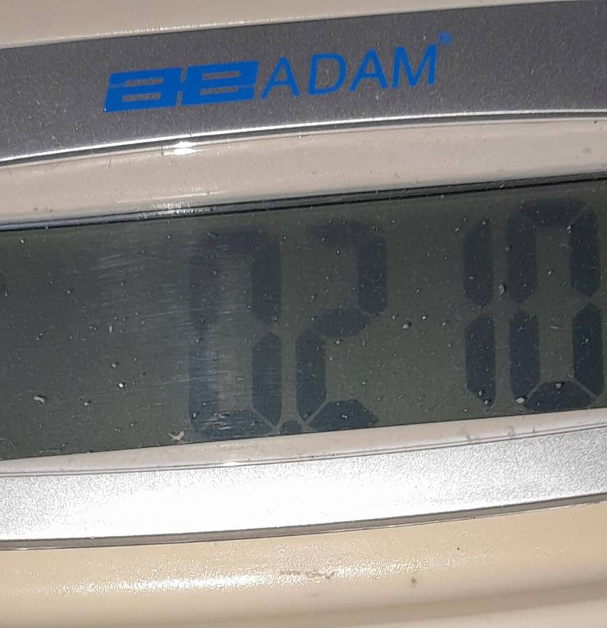 Sandstone, Serpentine and Fossilized Rock Specimens