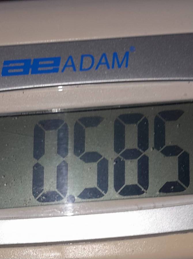 Sandstone, Serpentine and Fossilized Rock Specimens