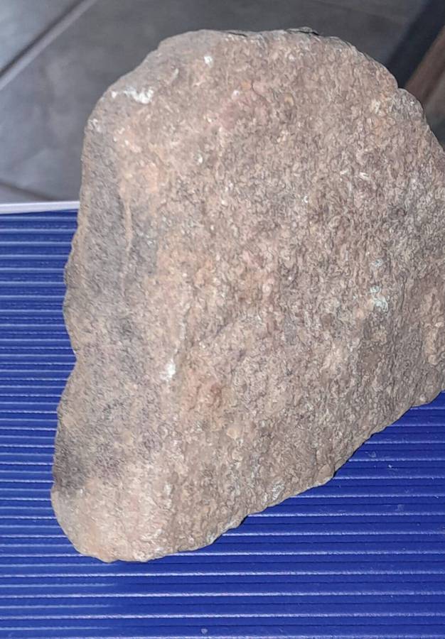 Sandstone, Serpentine and Fossilized Rock Specimens