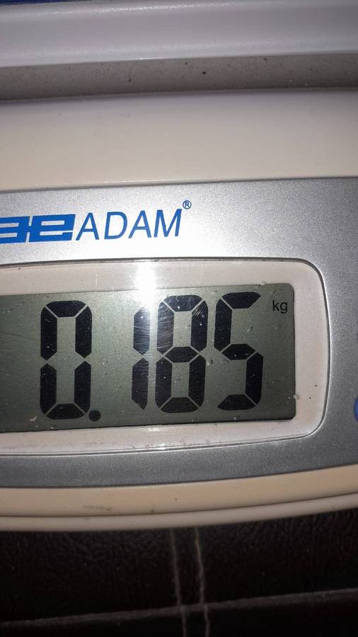 Sandstone, Serpentine and Fossilized Rock Specimens