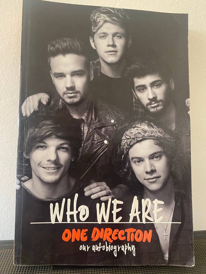 One direction: who we are