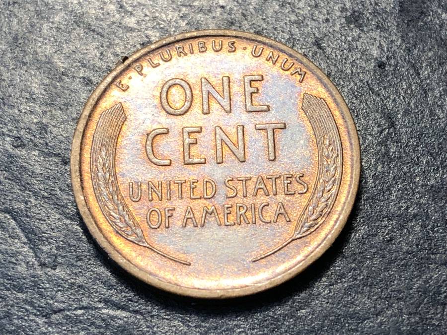 1909 American Wheat penny (1 cent) Bronze coin - No mintmark