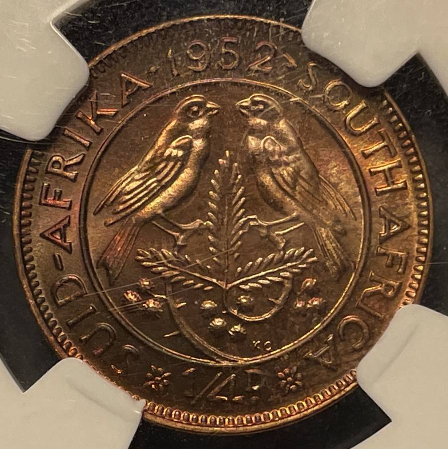 Beautiful 1952 S.A. Union 1/4 penny coin graded PF67RB by NGC - Only 2 coins graded higher at NGC