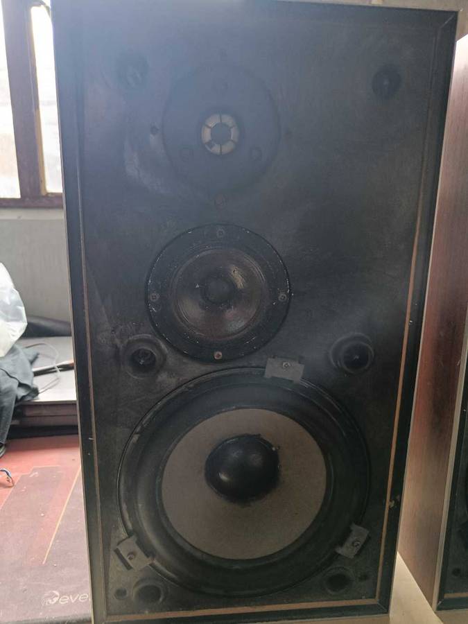 Bang and Olufsen Beovox S45 Speakers