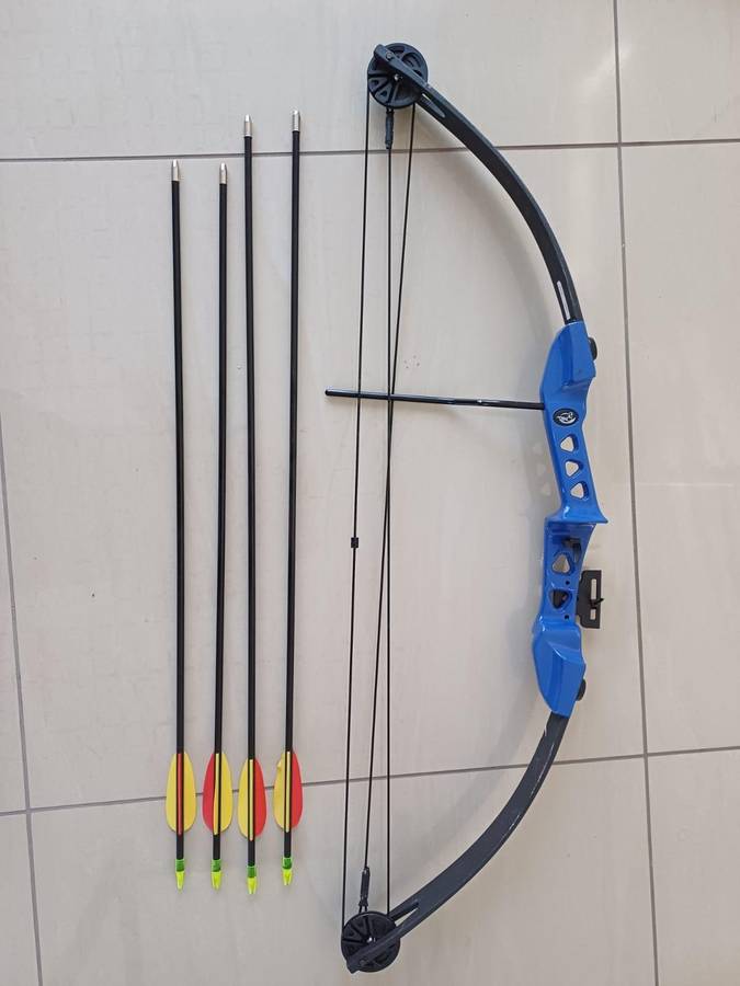 Bow and arrows