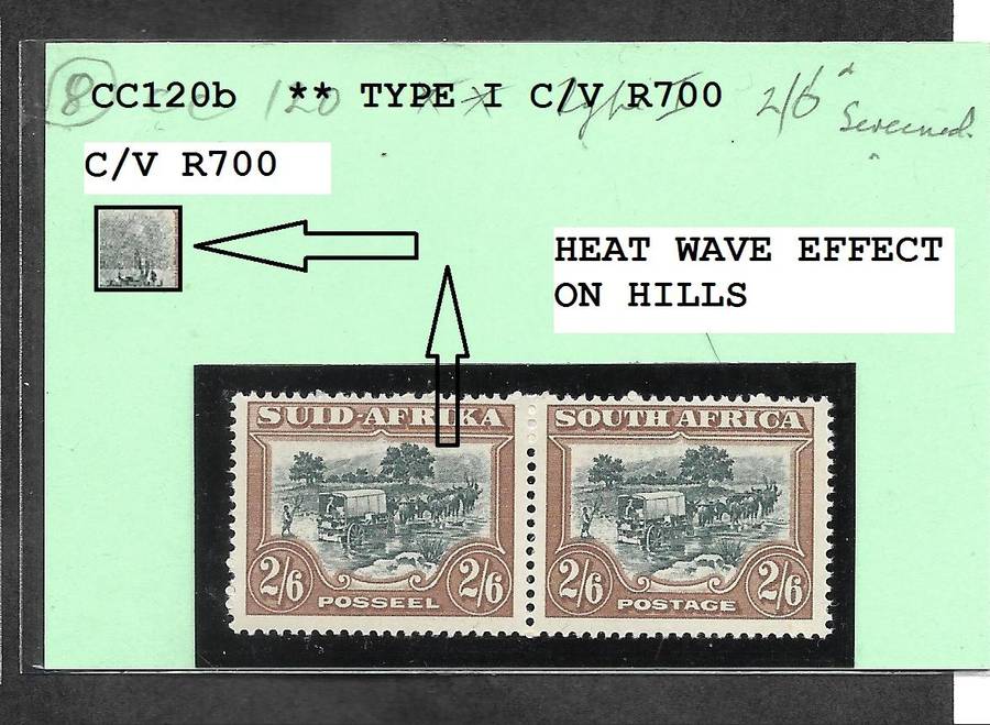 UNION SACC120b  HEAT WAVE VARIETY  -See Scan (Glen Carpendale Stock)