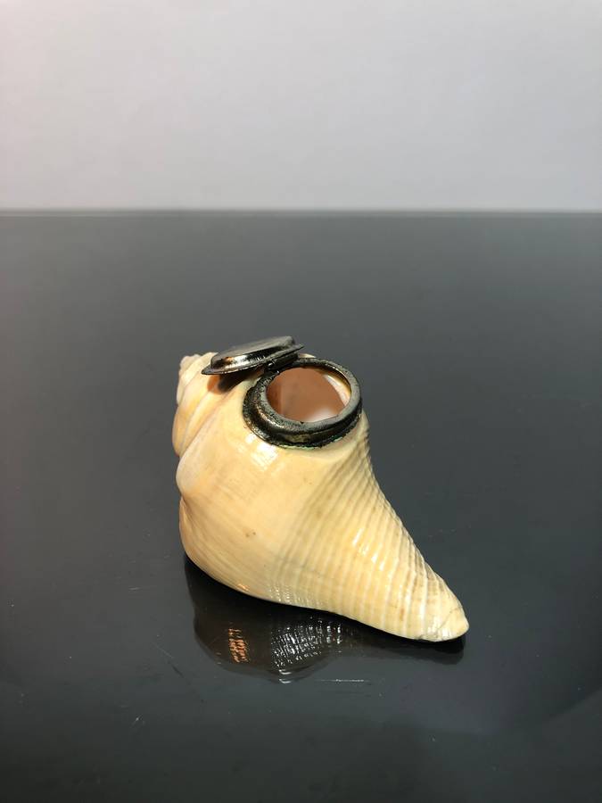 A Victorian Conch Shell Snuff Box