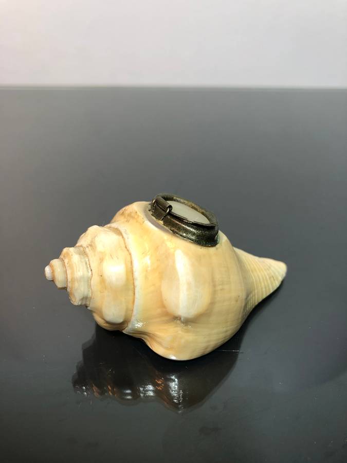 A Victorian Conch Shell Snuff Box