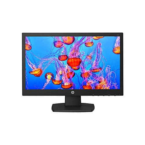HP V194 18.5' HD Monitor