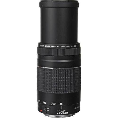 Canon Ef 75-300Mm F4-5.6 Iii Zoom Lens