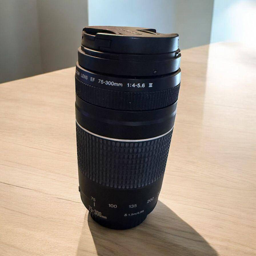 Canon Ef 75-300Mm F4-5.6 Iii Zoom Lens