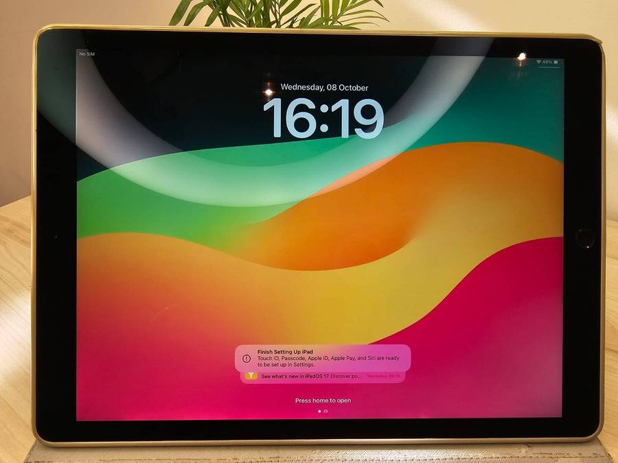 Ipad  Pro  12.9 inch  2nd  gen  256gb  wifi and cellular