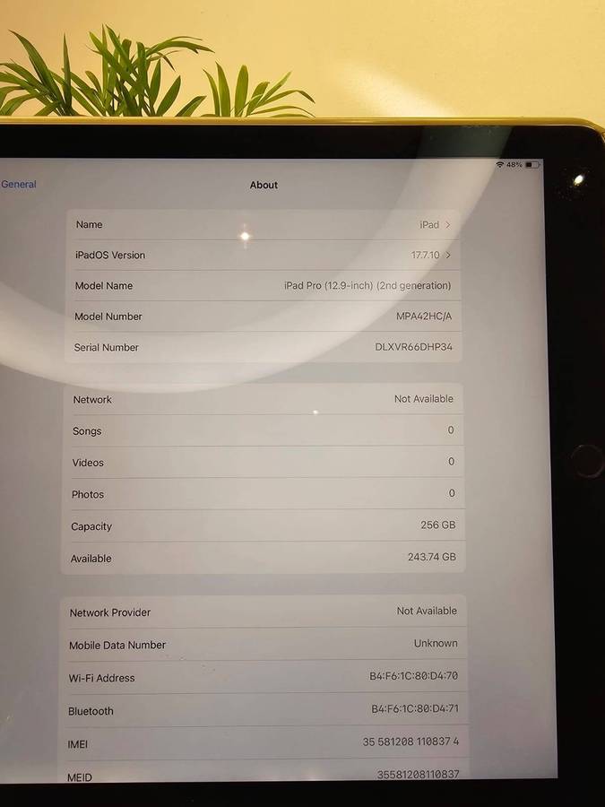 Ipad  Pro  12.9 inch  2nd  gen  256gb  wifi and cellular