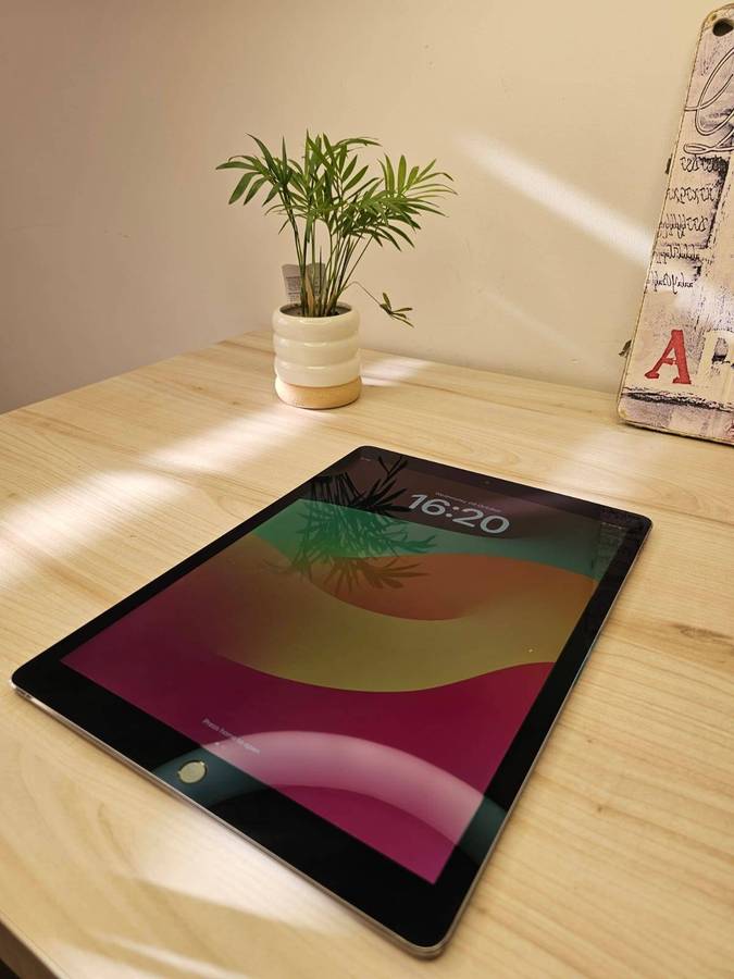 Ipad  Pro  12.9 inch  2nd  gen  256gb  wifi and cellular