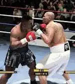 Fight Night Champion (Play Station 3/PS3 Game)