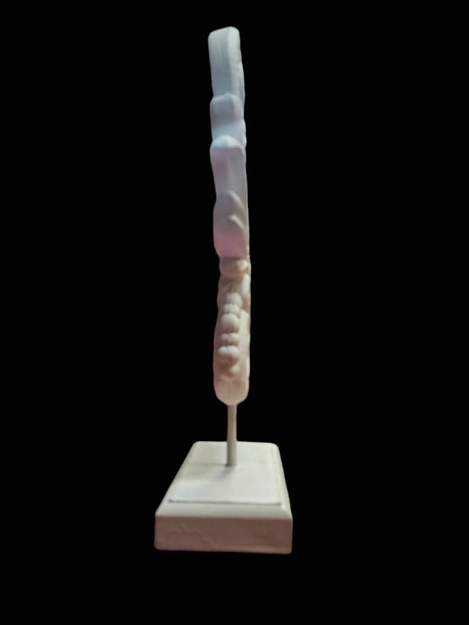 Wooden Carved Decorative Sculpture