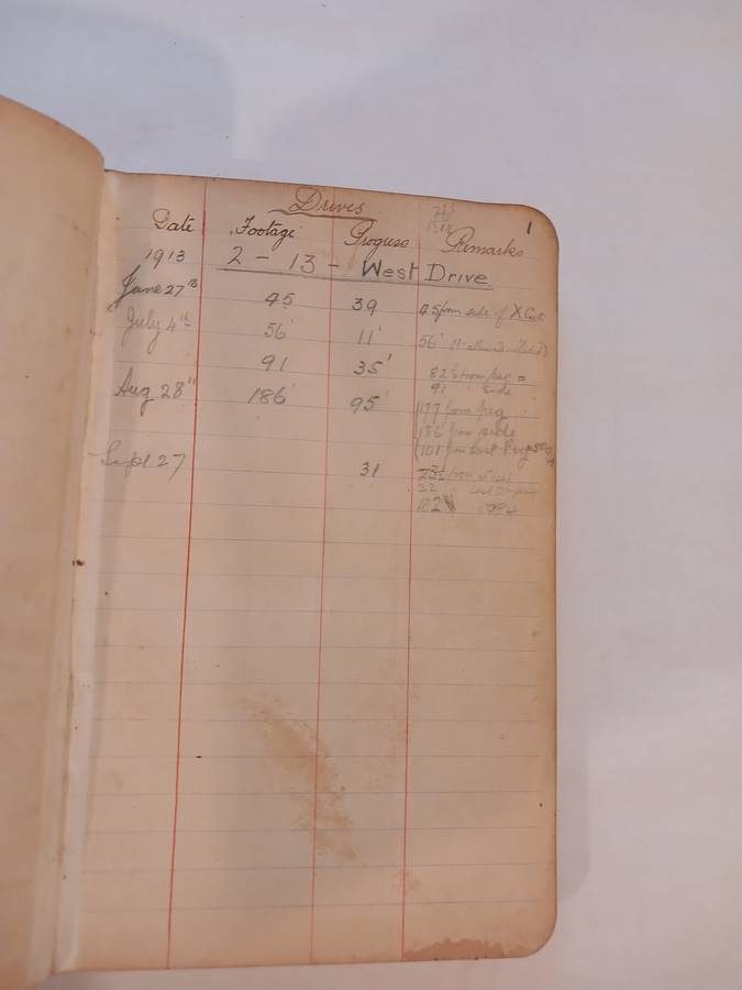 Geldenhuys Deep Ltd. Transit Book, 1913