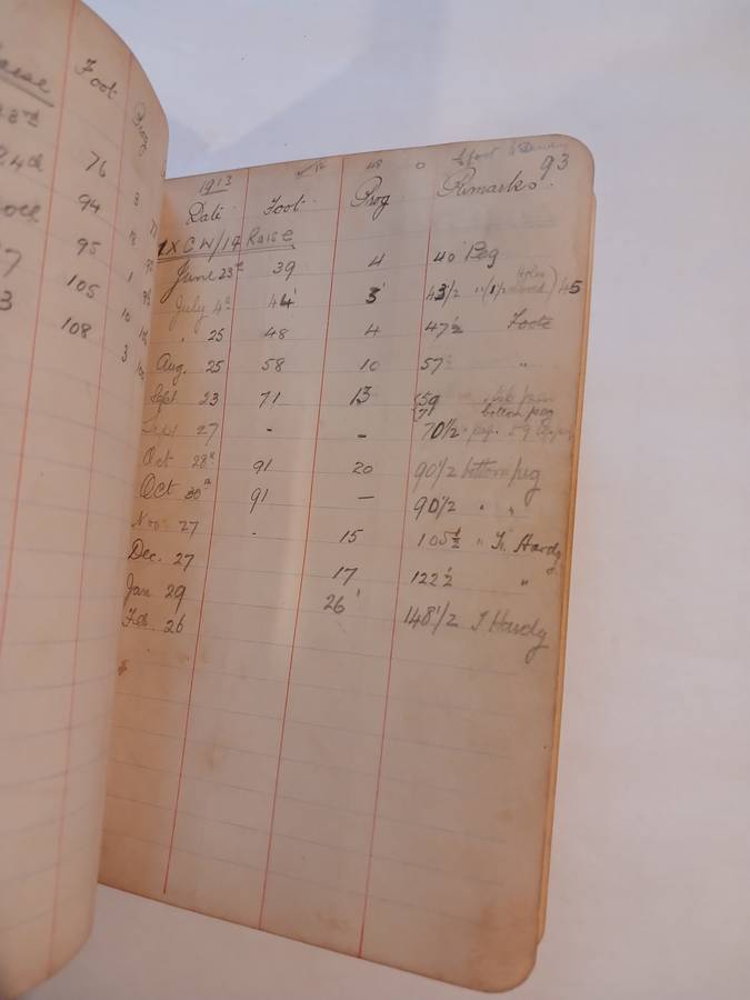 Geldenhuys Deep Ltd. Transit Book, 1913