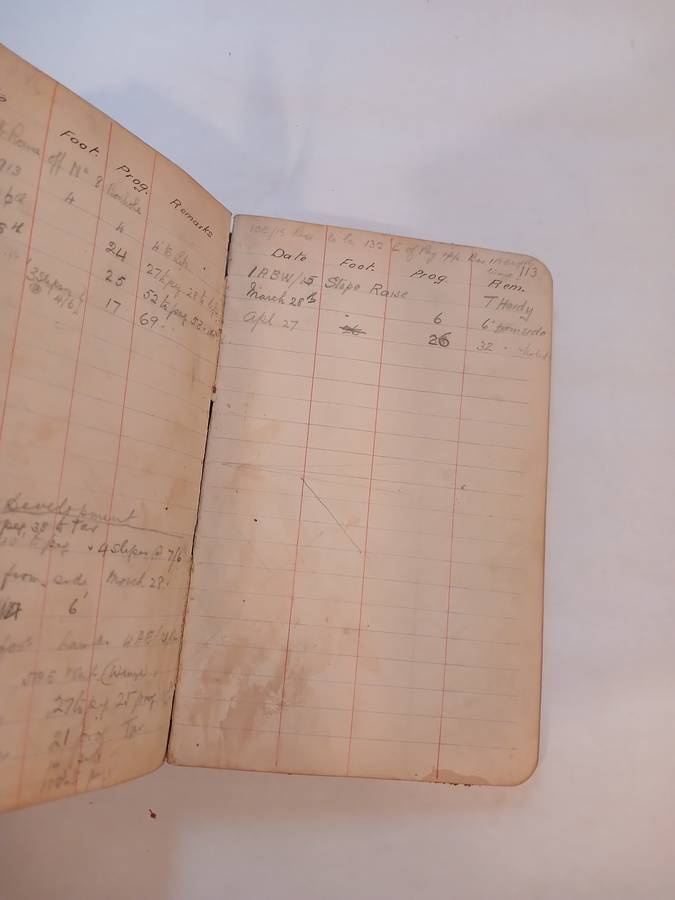 Geldenhuys Deep Ltd. Transit Book, 1913