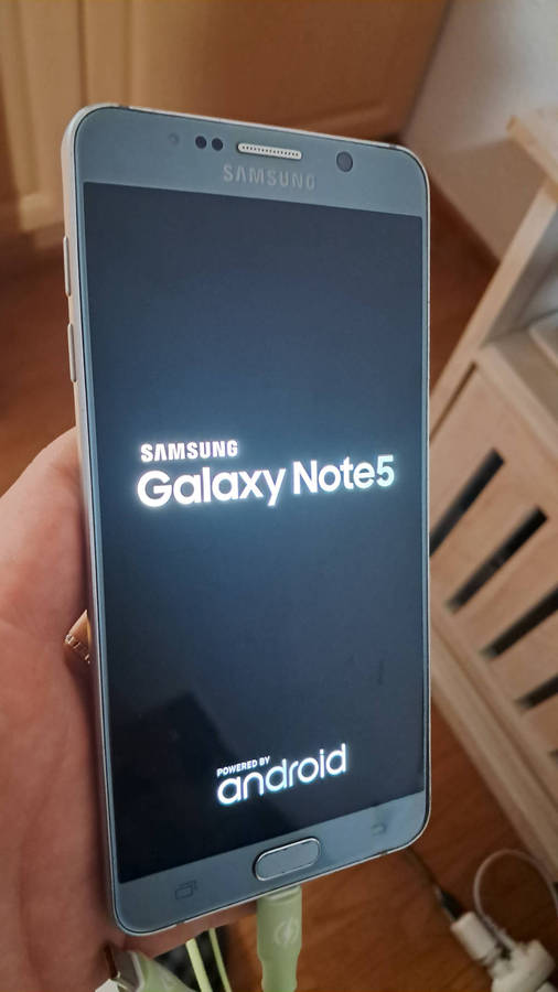 Samsung Galaxy Note 5 (cracked back cover)