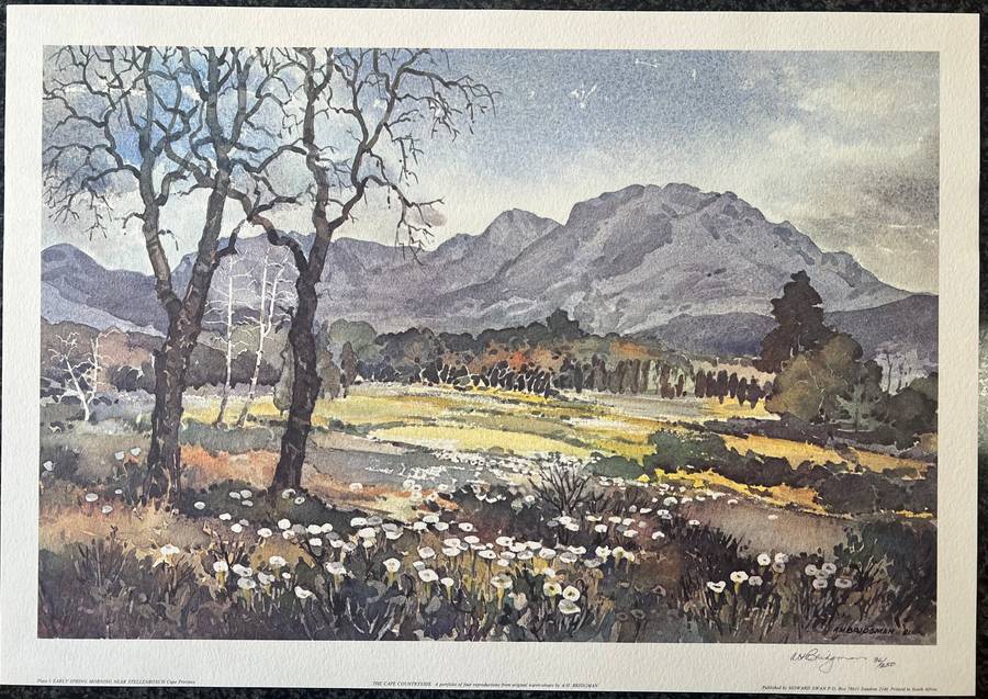 SIGNED, NUMBERED! 1 x COLLECTION OF 4 PRINTS BY A H BRIDGMAN, THE CAPE COUNTRYSIDE