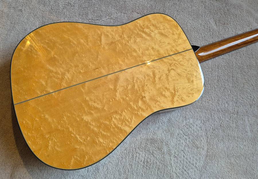 Washburn Apache D37S Acoustic Guitar