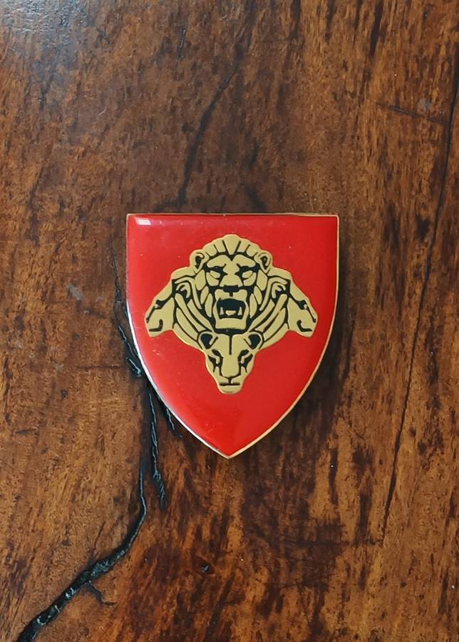 SANDF - PRIDE OF LIONS SHOULDER FLASH - METAL