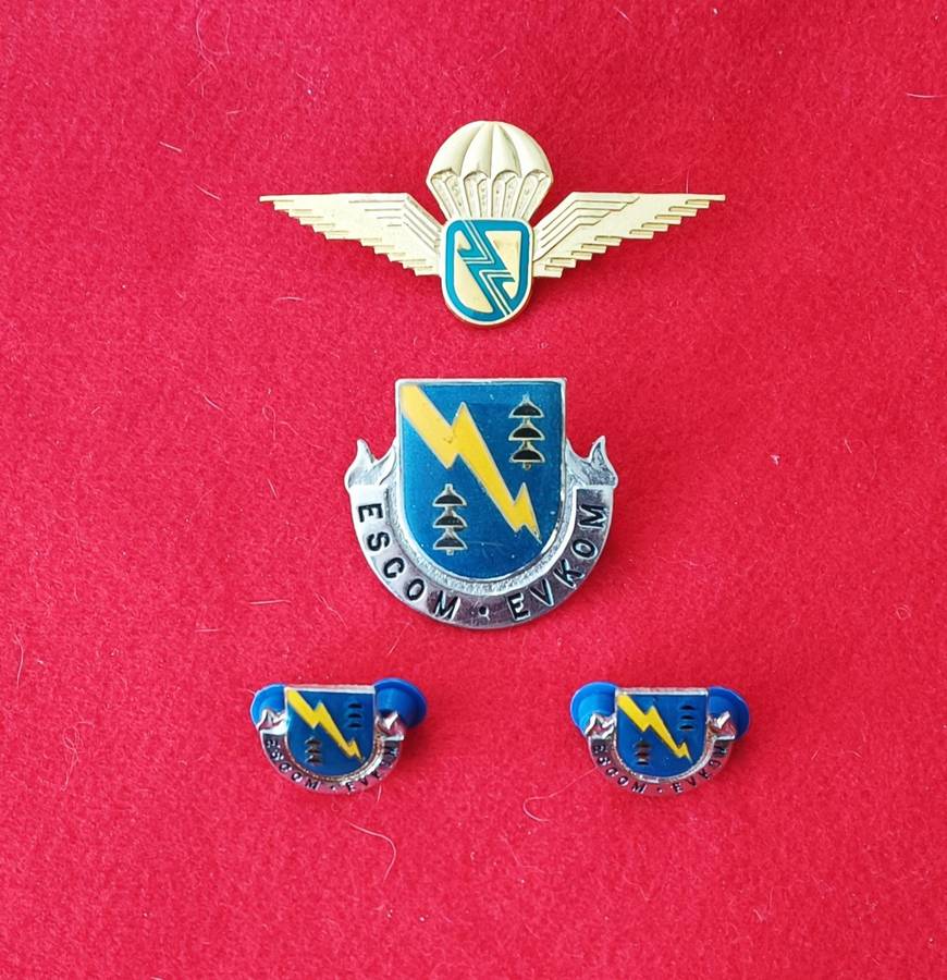 OLD ESCOM - SECURITY AND REACTION FORCE - METAL BADGES + WING - LOT 1