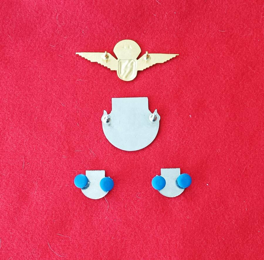 OLD ESCOM - SECURITY AND REACTION FORCE - METAL BADGES + WING - LOT 1