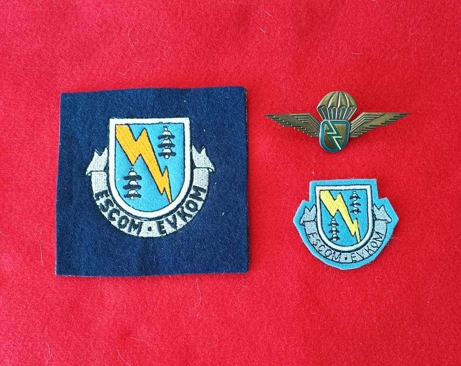 OLD ESCOM - SECURITY AND REACTION FORCE - CLOTH BADGES + METAL WING - LOT 2