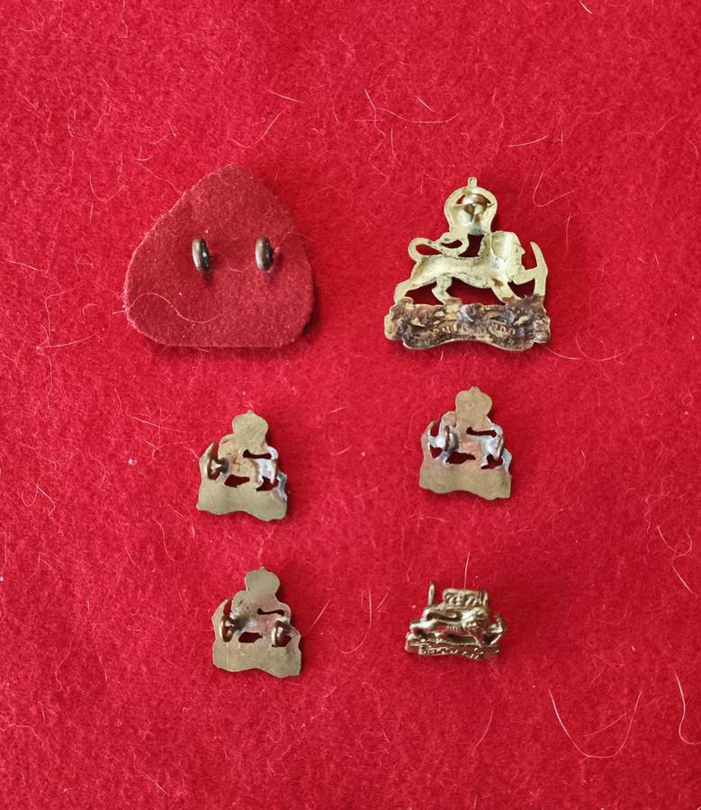 RHODESIA - RHODESIA STAFF CORPS (1926-70) - BRASS BADGE LOT
